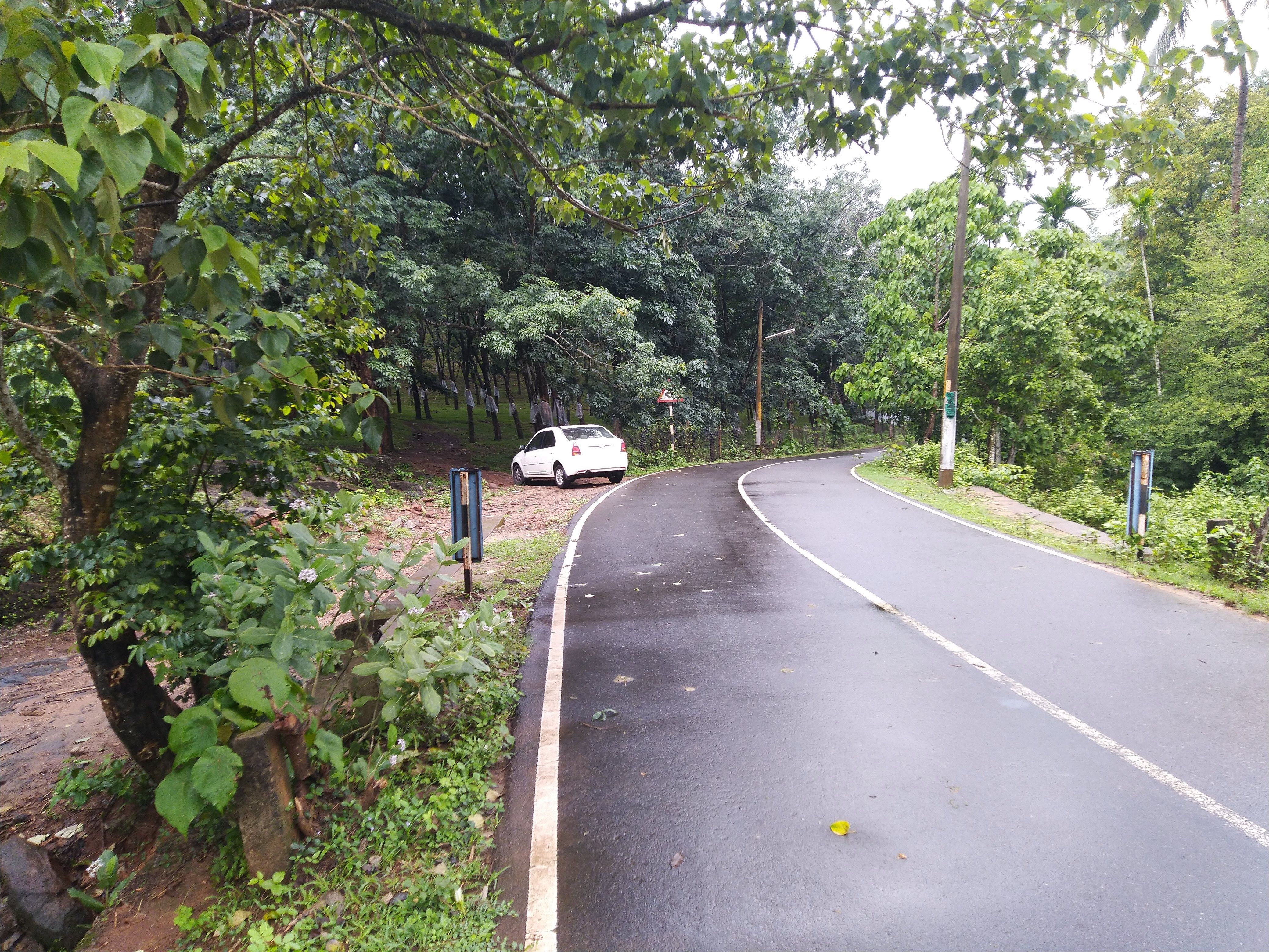 A long empty road that's a little curvy filled with lush trees and a white car parked on the left